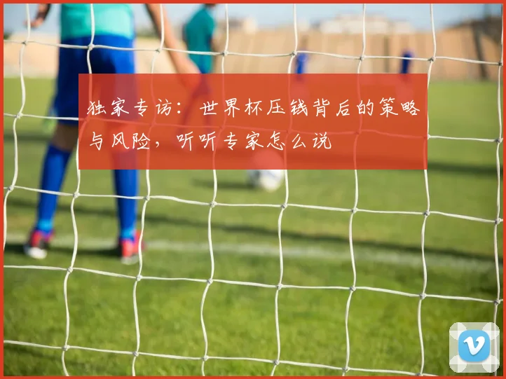 独家专访：世界杯压钱背后的策略与风险，听听专家怎么说