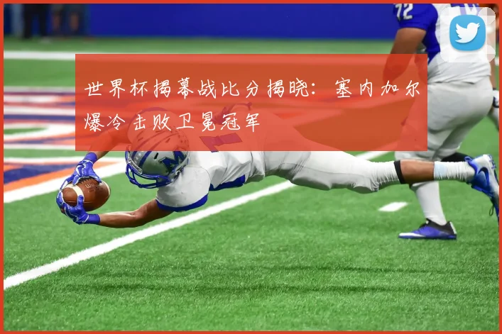 世界杯揭幕战比分揭晓:塞内加尔爆冷击败卫冕冠军