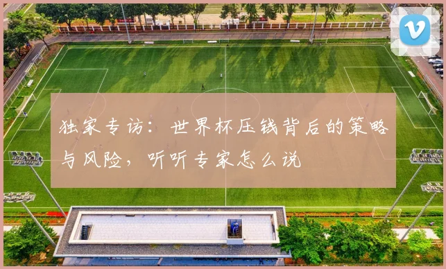 独家专访：世界杯压钱背后的策略与风险，听听专家怎么说