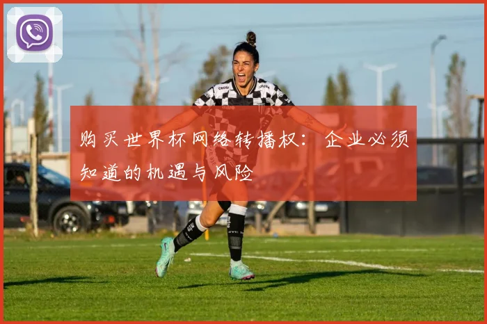购买世界杯网络转播权：企业必须知道的机遇与风险