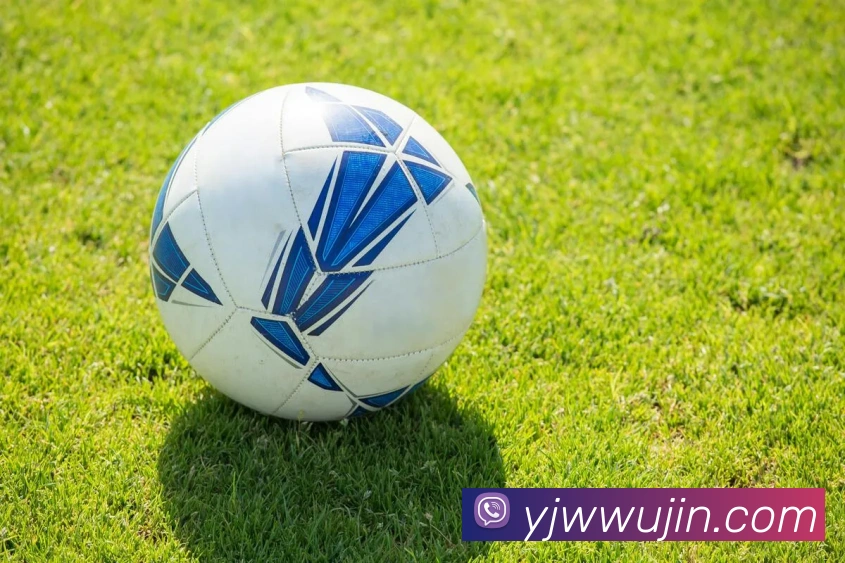 mksports官方网站品牌故事